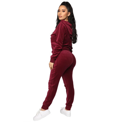 Women Pant Sets Comfortable Velvet Matching Sets Two Piece Set Autumn Loose Zipper Hoodie Jacket Elastic Waist Skinny Pants Sets