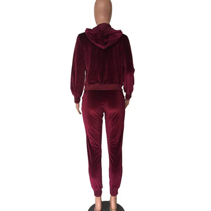 Women Pant Sets Comfortable Velvet Matching Sets Two Piece Set Autumn Loose Zipper Hoodie Jacket Elastic Waist Skinny Pants Sets